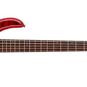 Cort Action DLX V Plus Bass Guitar (5-String)
