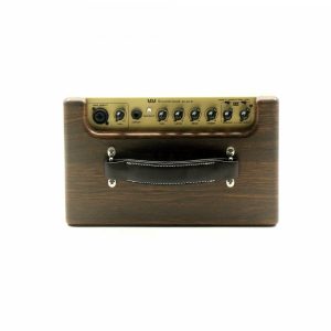 AGA SC-40B Acoustic Guitar Amp