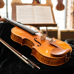 Violin
